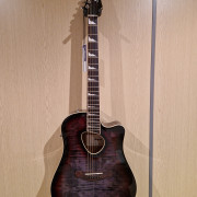Vendo o Cambio Ibanez ALT30FM prácticamente nueva