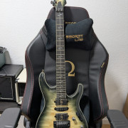 Ibanez JIVA 10 DSB · Madrid · 900 €