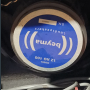 Beyma 12AG100 · Alicante · 50 €