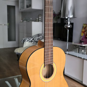 Guitarra Flamenca · Madrid · 150 €