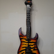 ESP sunburst tiger (George Lynch) · Gipuzkoa · 3500 €