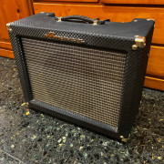 Ampeg SJ12-T · Valencia · 600 €