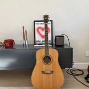 Washburn WD10S · Madrid · 250 €
