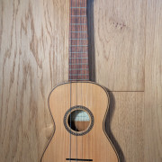 Cavaquinho APC 100 · Barcelona · 110 €