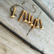 Stratocaster Gold set tornillos dorados · Albacete · 15 €