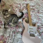 FGN J Standard Odyssey Made in Japan · Madrid