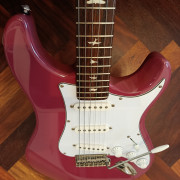 Prs se Silver sky Dragon fruit