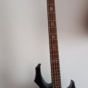 LTD TA-204 signature (Tom Araya) · Palencia · 670 €