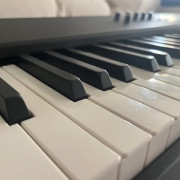 Studiologic Numa X Piano 88 teclas contrapesadas