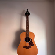 SEAGULL S6 · Alicante · 750 €