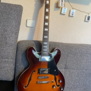 Guitarra Semi-Hollow CUSTOM 77 Needles & Pins