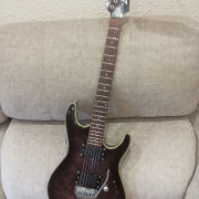 Ibanez sa series 220 modificada · Bizkaia