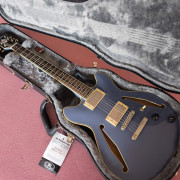 D'Angelico Excel Mini DC · Madrid · 800 €