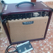 Mesa Boogie Express 5:25 edición especial altavoz 12 · Málaga · 950 €
