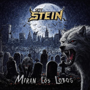 The Stein busca cantante · Madrid