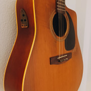 S6 / CW Seagull Electroacustica · Cádiz · 350 €