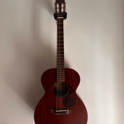 Raimundo MM200E acústica amplificada (Fishman) · Alicante · 420 €