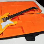 Epiphone Newport + estuche + flats + mute + cierres Dunlop Dual · Lugo · 450 €