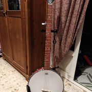 Banjo Epiphone MB-100 · Sevilla · 140 €