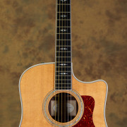 Acustica Taylor · Tarragona