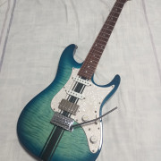 Ibanez az 22 modificada · Bizkaia · 450 €