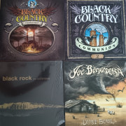 Lote de vinilos de Bonamassa · Madrid · 50 €
