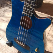 Carvin Ac50 electroacústico · Valencia · 900 €
