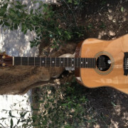 Guitarra Acústica Tanglewood Heritage - Handcrafted TW 15H - Chollazo · Barcelona · 400 €