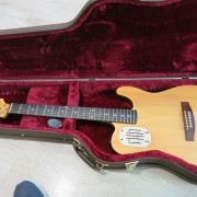 GODIN ACOUSTICASTER · Zaragoza · 1300 €