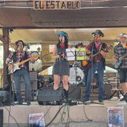 Grupo COUNTRY busca guitarra eléctrica solista+coros · Madrid