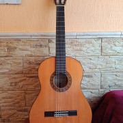 Guitarra Pedro de Miguel · Alicante · 800 €