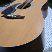 Seagull S6 Zurd@ · Madrid · 499 €