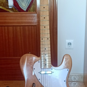 Tokay Breezy Sound thinline · Ciudad Real · 300 €
