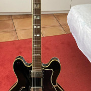Epiphone Sheraton II · Cantabria · 600 €