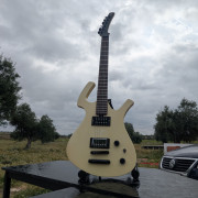 Guitarra eléctrica estilo Parker (posible cambio por acústica 12 cuerdas) · Madrid · 150 €