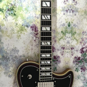 D’Angelico Bedford Deluxe Atlantic Vintage · SC Tenerife · 1000 €