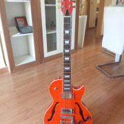 Vendo Expectacular Guitar de Luthier Tipo Gibson de Semicaja