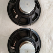 Tone Tubby DD Alnico 8 Ohm 12" REBAJA · Valencia · 225 €