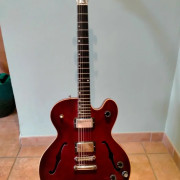 Gibson Chet Atkins Tennessean · Valencia · 1500 €