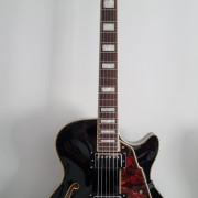 D'Angelico Premier SS Custom