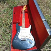 Fender Stratocaster · Granada · 6000 €