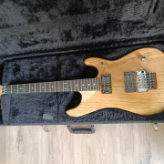 Washburn N4 · Cádiz · 2200 €