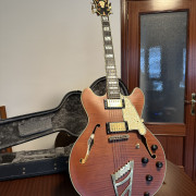 D'Angelico Deluxe DC, edición limitada numero 12 de 50. · Bizkaia · 1800 €
