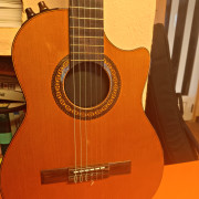 Camps Motion, nylon solid body · Valencia · 800 €