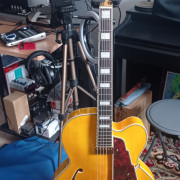 D'angelico premier EXL-1 · A Coruña · 670 €