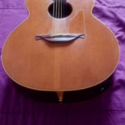 Cambio Guitarra Alhambra CW J3-E · Asturias
