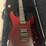Guitarra SCHECTER REAPER-6 Elite fr BLOODBURST