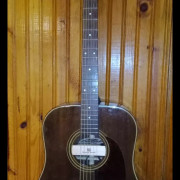 Fender newporter · Pontevedra · 450 €