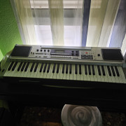 Teclado casiotone 7000 (1983) por pedal · Valencia