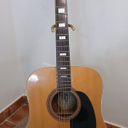 Cambio Acústica Suzuki W-E150